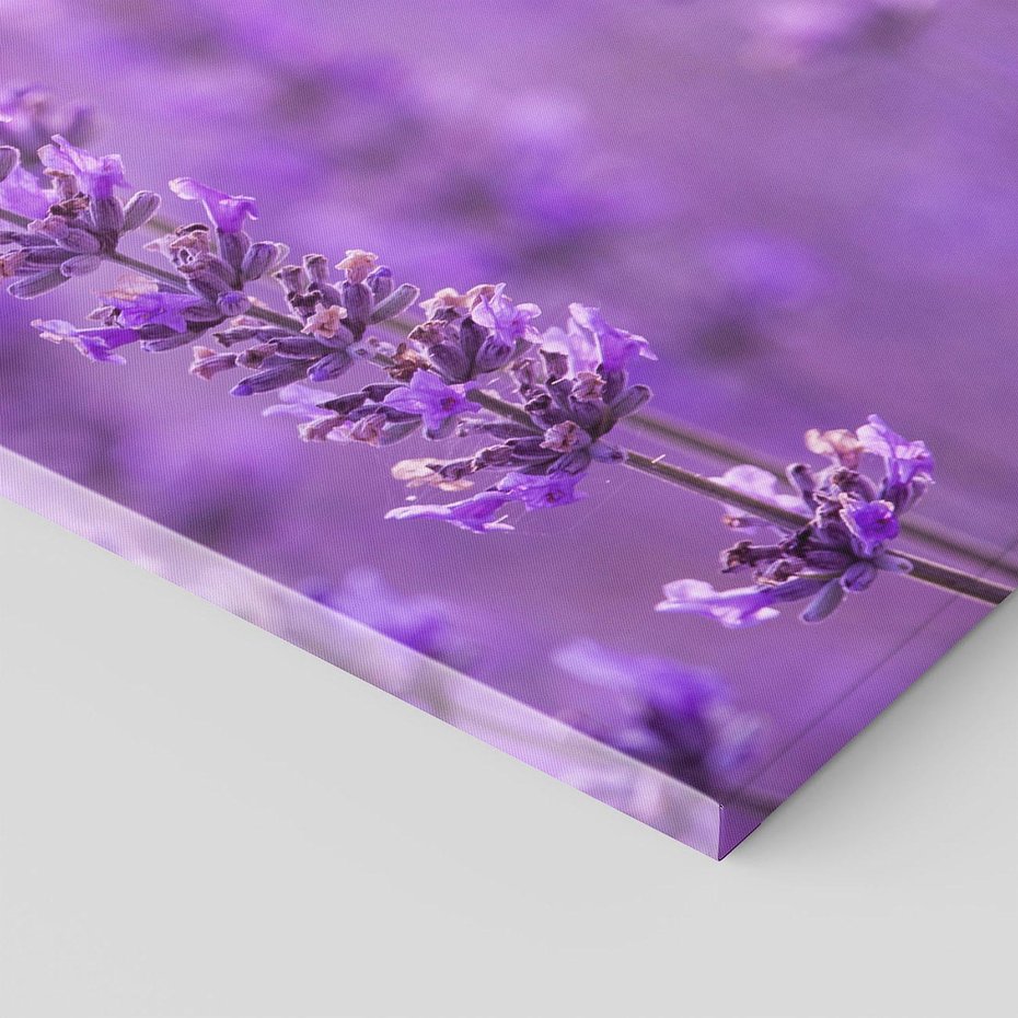 Obraz na płótnie 50x70 - Fioletowa harmonia lawendy - lawenda, fiolet