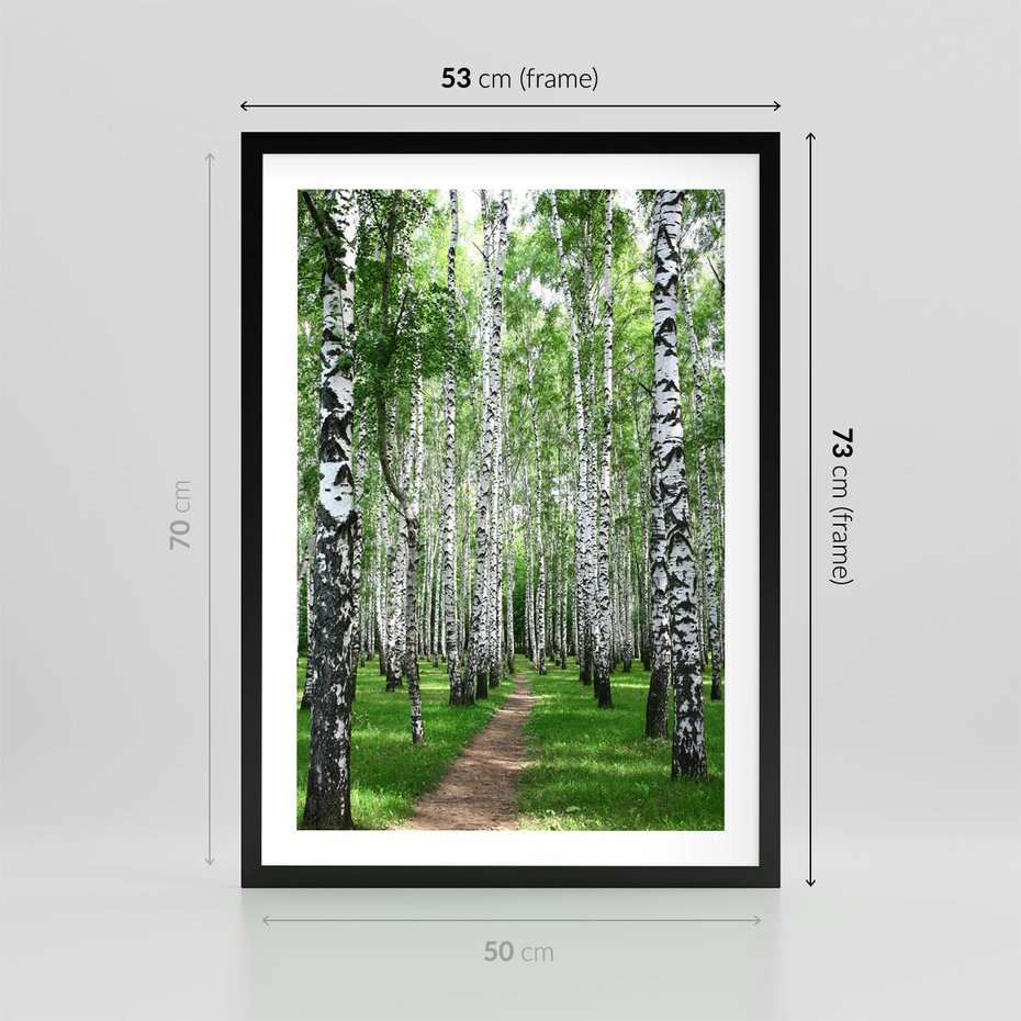 Plakat w ramie 50x70 - Magia lasu pełnego brzóz - las, brzozy - rama czarna