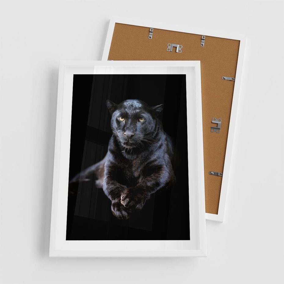 Plakat w ramie 50x70 - Czarna pantera: majestat i siła - czarna, pantera - rama biała