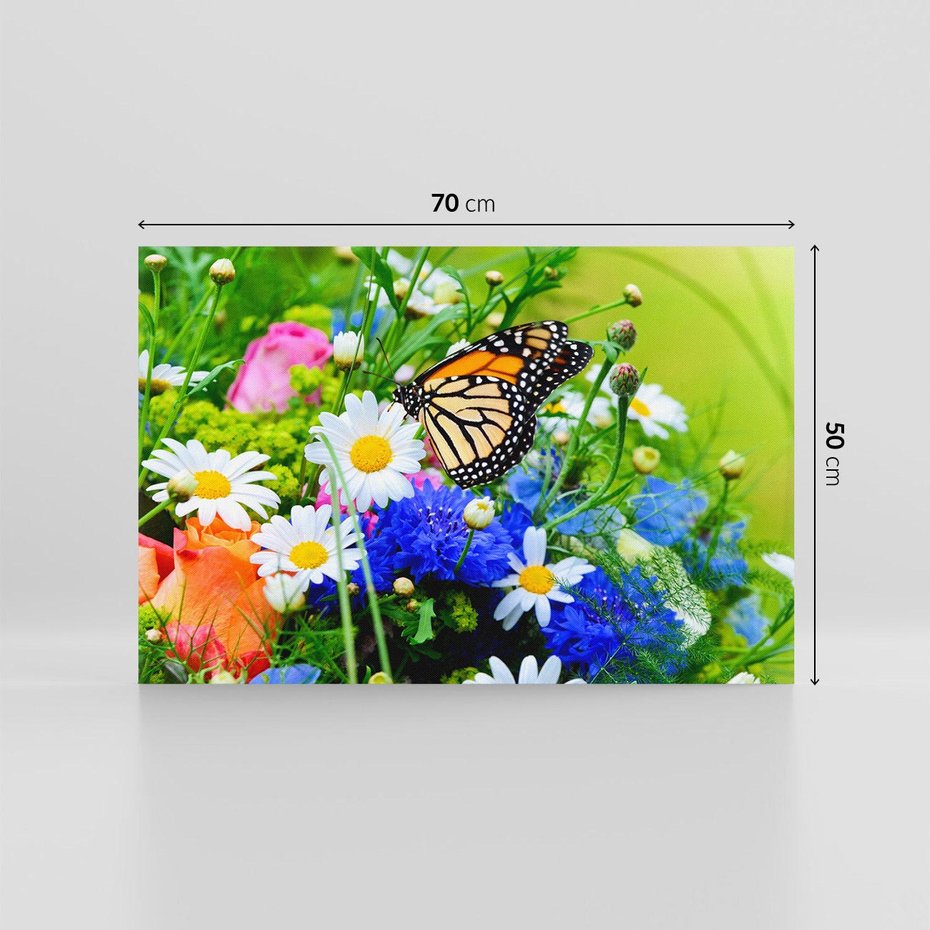 Obraz na płótnie 70x50 - Kwiatowy Taniec - motyl, kwiaty