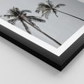 Plakat w ramie 30x40 - Tropikalny Raj: Palmy i Niebo - palmy, niebo - rama czarna