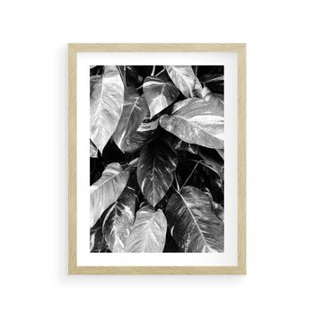 Plakat w ramie 30x40 - Liście w Czarno-Białej Fotografii - liście, roślina - rama drewno