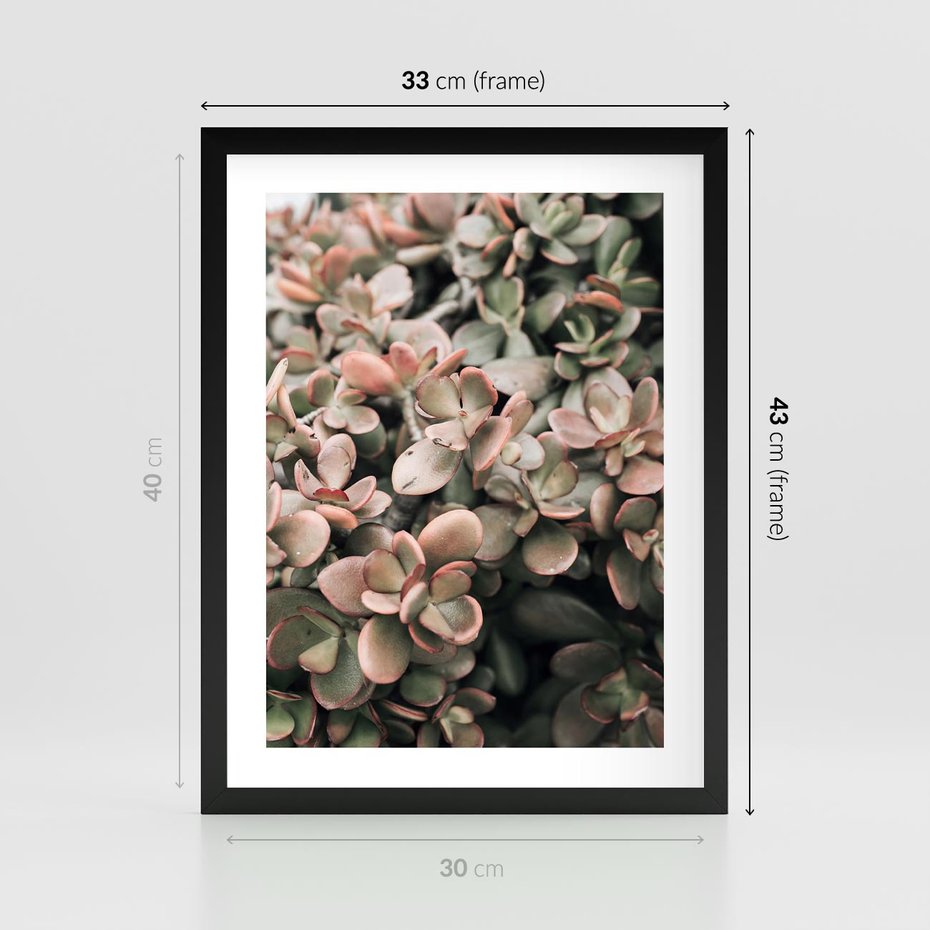 Plakat w ramie 30x40 - Sukulentowa Prostota - sukulenty, zielone liście - rama czarna
