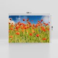 Obraz na płótnie 120x80 - Delikatne maki na kolorowej łące - mak, maki