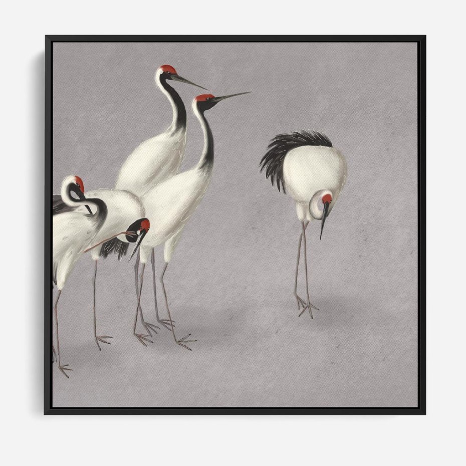 Obraz w ramie 50x50 - Spojrzenie wstecz w pędzlu - szkic rysunek, japońskie żurawie - rama czarna