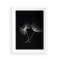 Plakat w ramie 50x70 - Delikatność Wiatru - dmuchawce, makro - rama biała