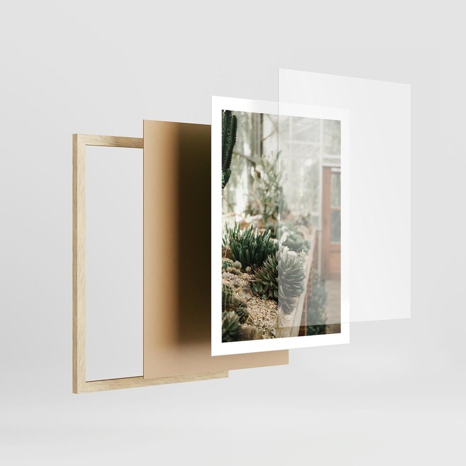Plakat w ramie 50x70 - Sukulenty w Szklarni - sukulenty, w szklarni - rama drewno