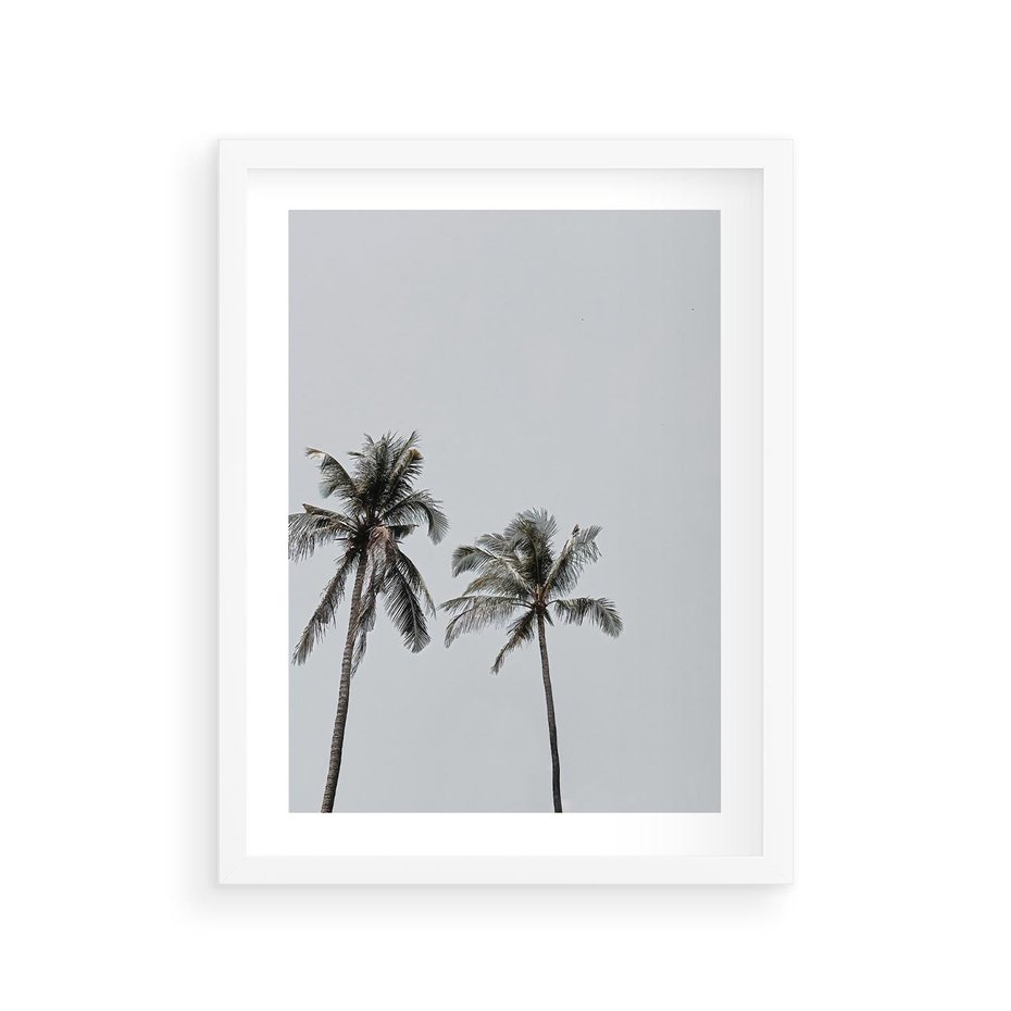 Plakat w ramie 30x40 - Tropikalny Raj: Palmy i Niebo - palmy, niebo - rama biała