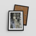 Plakat w ramie 30x40 - Wilk w Zimowym Lesie - wilk, las - rama czarna