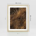 Plakat w ramie 40x50 - Szlachetna Suchość Traw - trawy, suche trawy - rama drewno