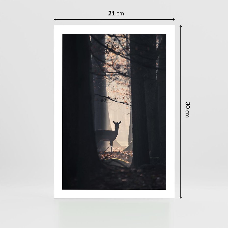 Plakat bez ramy 21x30 - Sarnie Skoki - zdjęcie, klimatyczny las