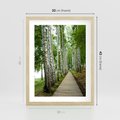 Plakat w ramie 30x40 - Spacer ścieżką przez brzozowy las - las, ścieżka - rama drewno