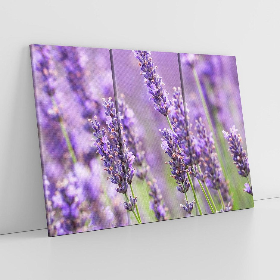 Obraz na płótnie 120x80 - Urok lawendy - lawenda, kwiaty