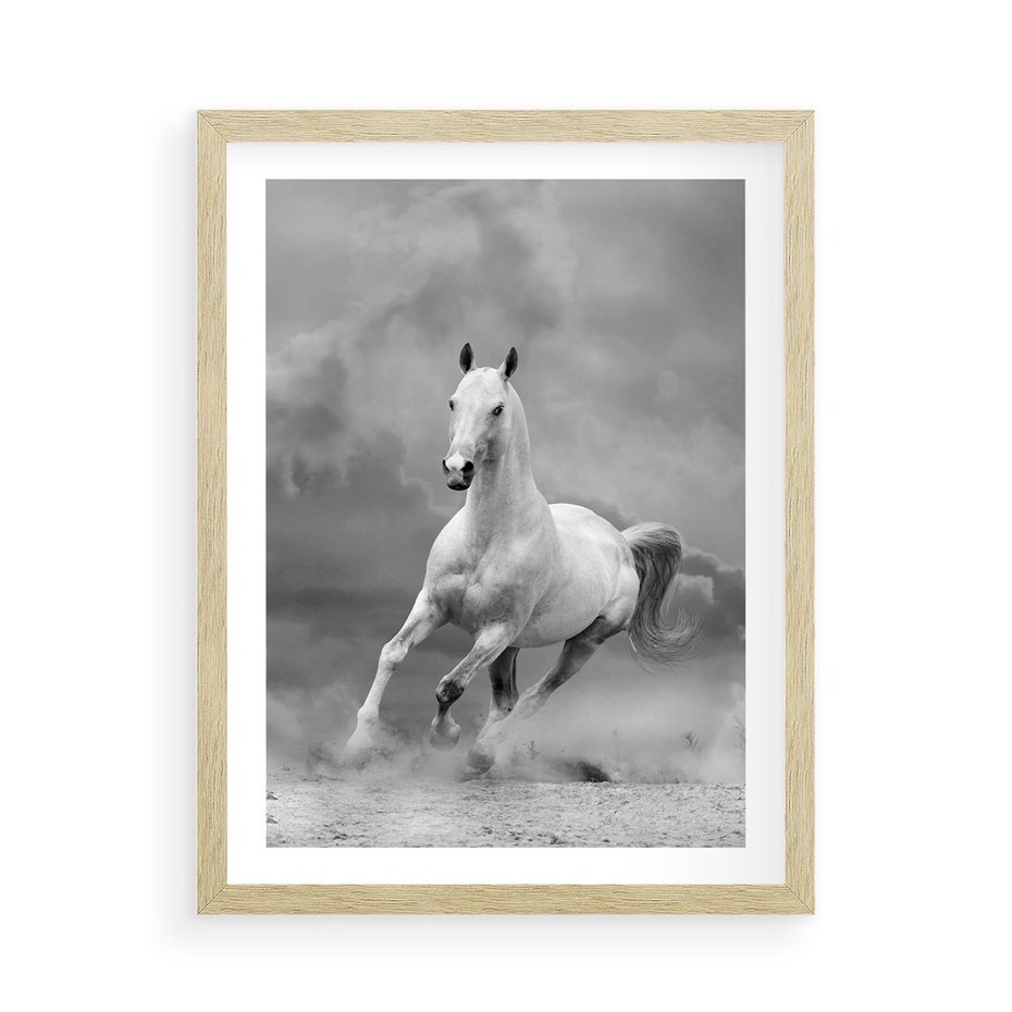 Plakat w ramie 50x70 - Elegancja w Czarno-Białym - koń, biało - rama drewno