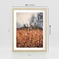 Plakat w ramie 40x50 - Jesienna Melancholia - suche trawy, jesień - rama drewno