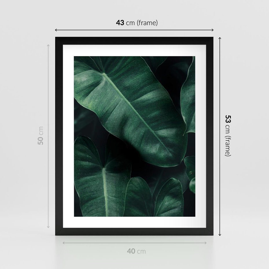 Plakat w ramie 40x50 - Liście Bananowca - minimalizm, zielone liście bananowca - rama czarna