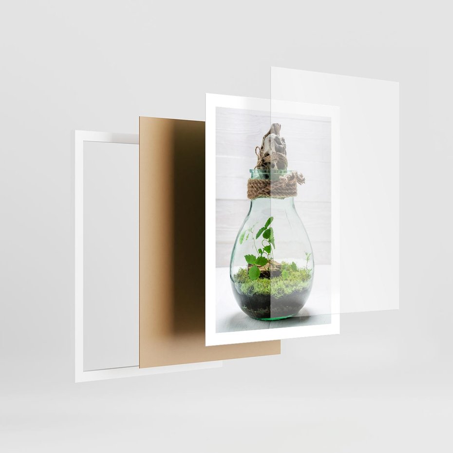 Plakat w ramie 50x70 - Żywioł Natury - liście, zieleń - rama biała