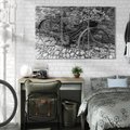 Obraz na płótnie 120x80 - Zapomniany Urok - czarno biała fotografia, stary rower oparty o mur