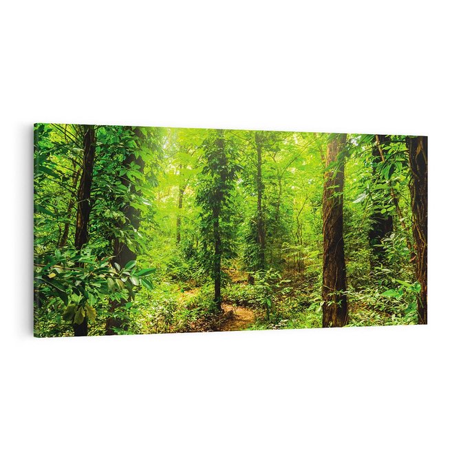 Obraz na płótnie 100x50 - Współistnienie z naturą - drzewa, las
