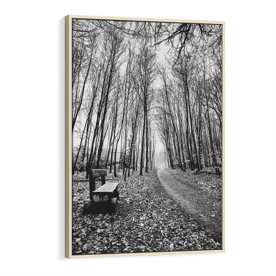 Obraz w ramie 80x120 - Spadające Liście - czarno białe zdjecie, park - rama drewno