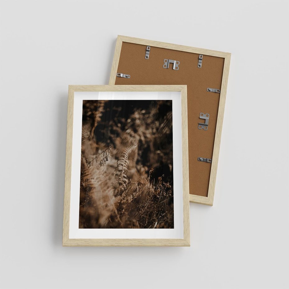 Plakat w ramie 30x40 - Delikatne Detale - paprocie, brąz - rama drewno