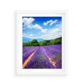 Plakat w ramie 40x50 - Prowansalska Lawenda - lawenda, prowansja - rama biała