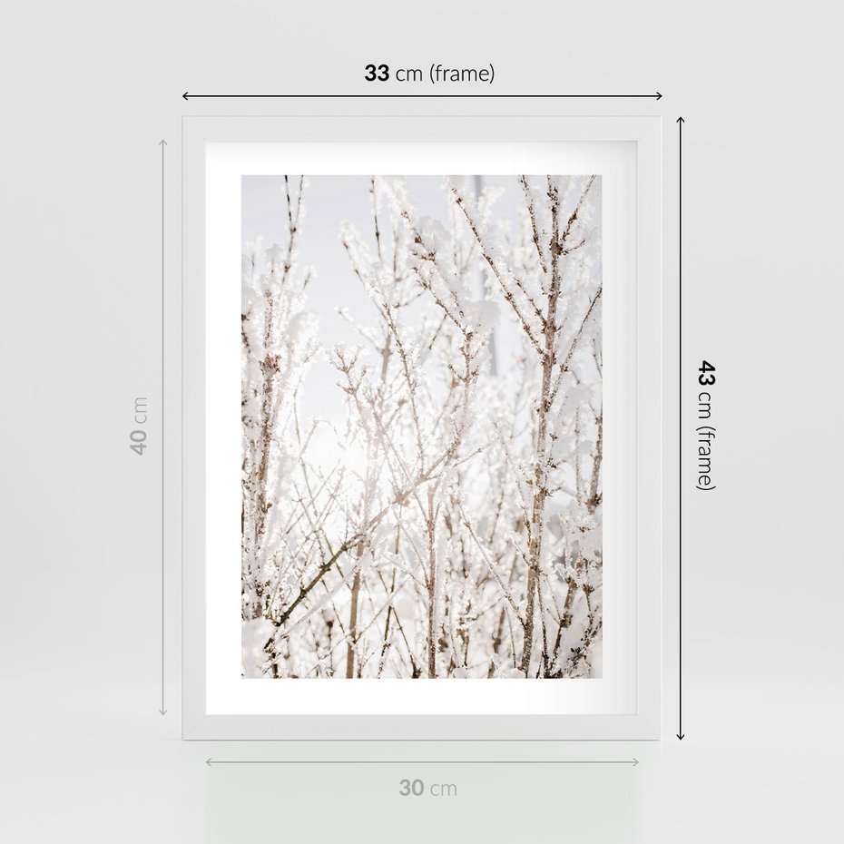 Plakat w ramie 30x40 - Szron na Gałęziach - ośnieżone gałązki, szron na gałęziach - rama biała