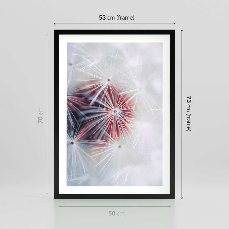 Plakat w ramie 50x70 - Minimalistyczna Delikatność - zbliżenie, dmuchawce - rama czarna