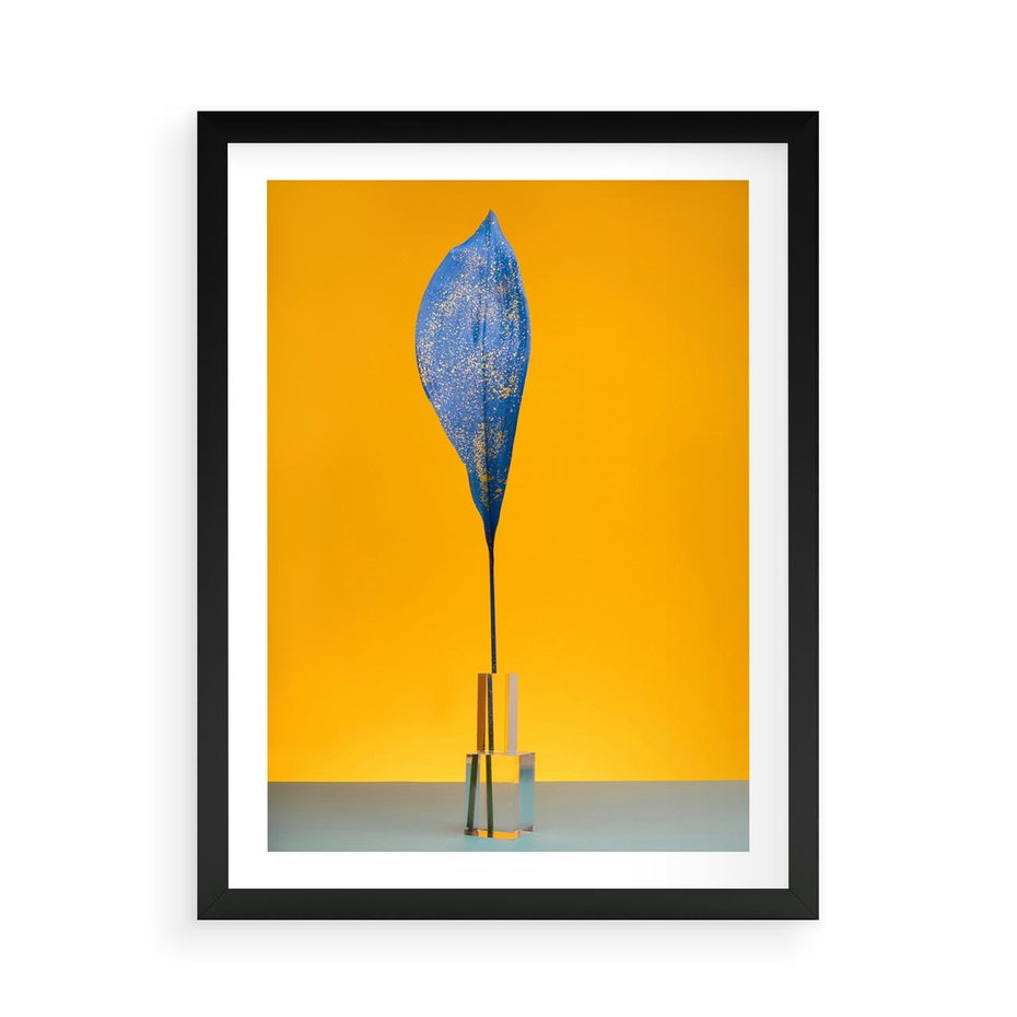 Plakat w ramie 50x70 - Niebiańskie liście - liść, liście - rama czarna