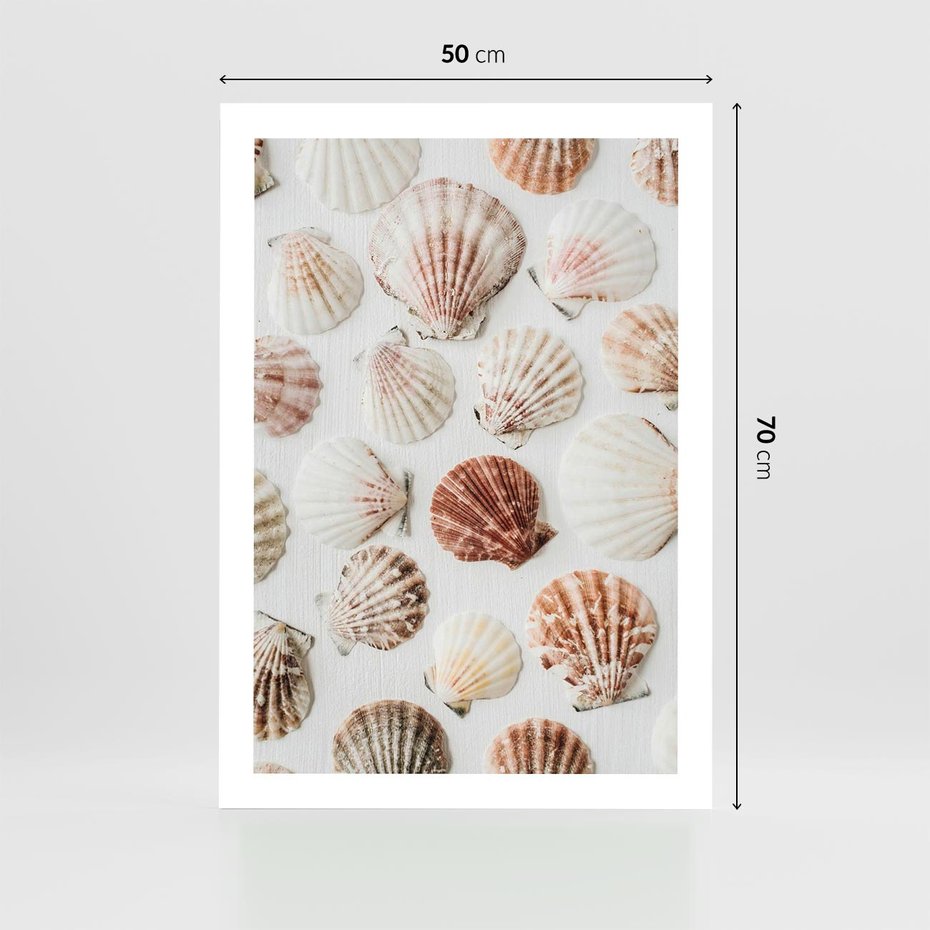 Plakat bez ramy 50x70 - Morska Delikatność: Muszelki na Białym Tle - kompozycja, morskie muszelki na białym tle