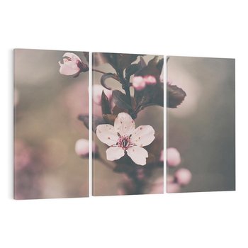 Obraz na płótnie 120x80 - Przemijający Urok - kwitnąca, wiśnia