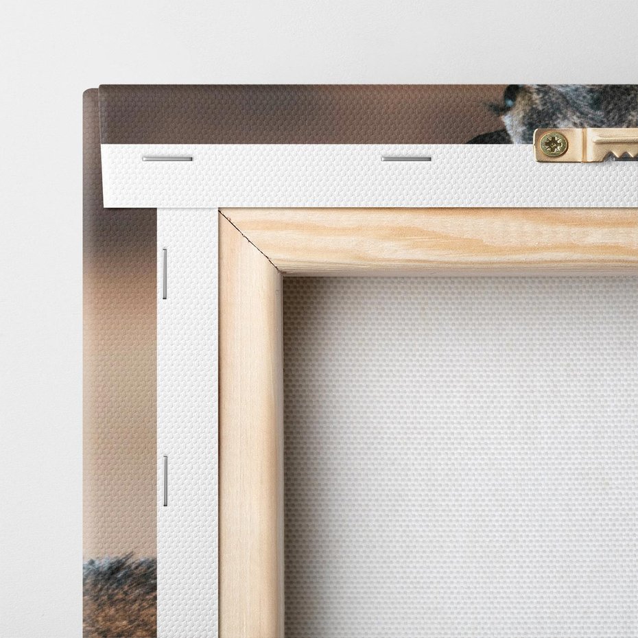 Obraz na płótnie 50x70 - Spokojny jeleń - jeleń, las