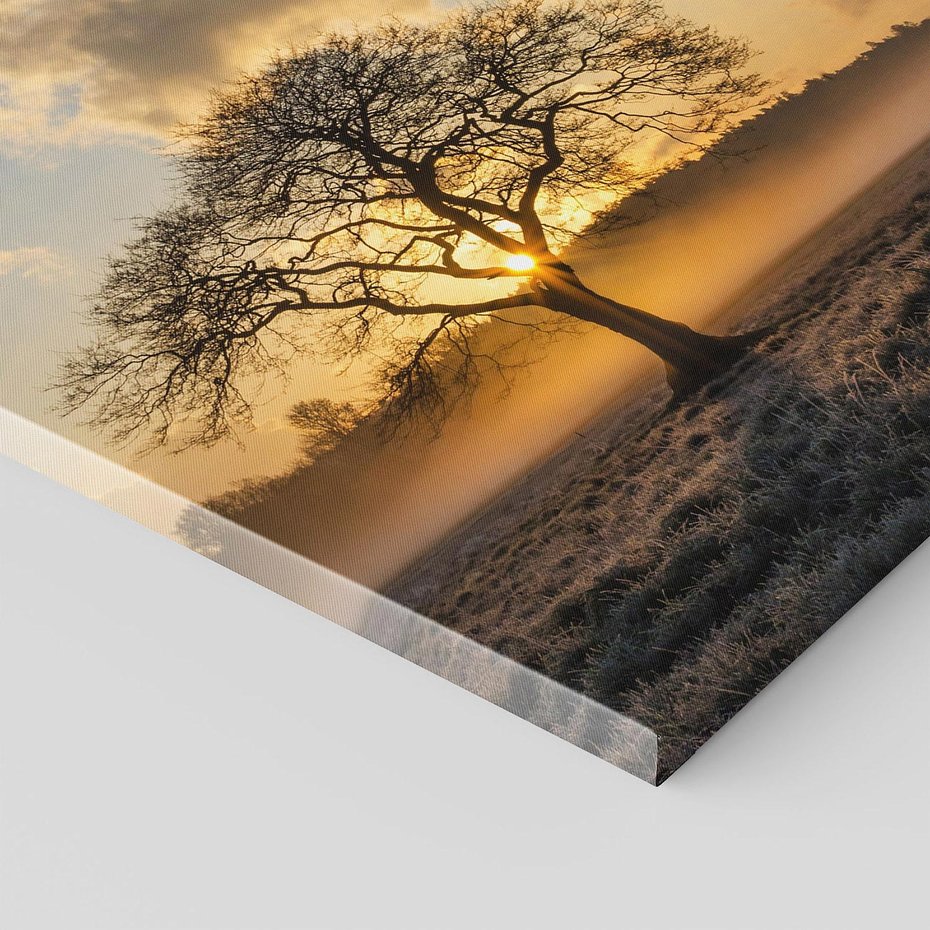 Obraz na płótnie 40x40 - Drzewo w mgle: Piękno jesiennego poranka - drzewo, mgła