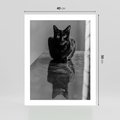 Plakat bez ramy 40x50 - Kocie Oczy - kot, czarno białe zdjęcie
