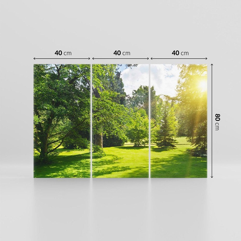 Obraz na płótnie 120x80 - Ogród: urok drzew i roślinności - ogród, drzewa