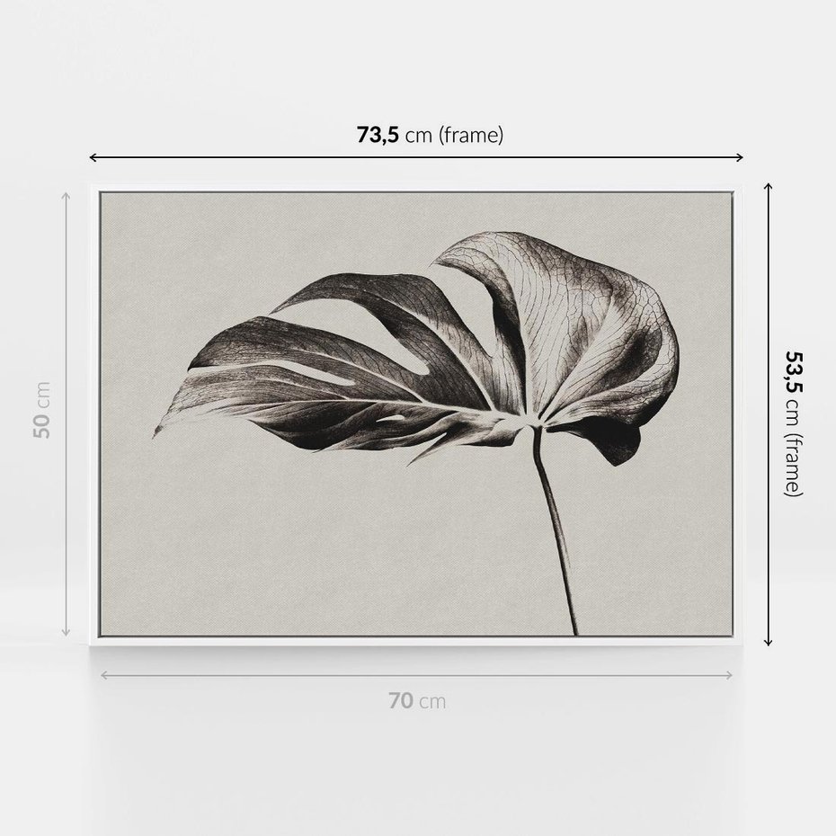 Obraz w ramie 70x50 - Szepczący Liść - szkic, czarno biały - rama biała