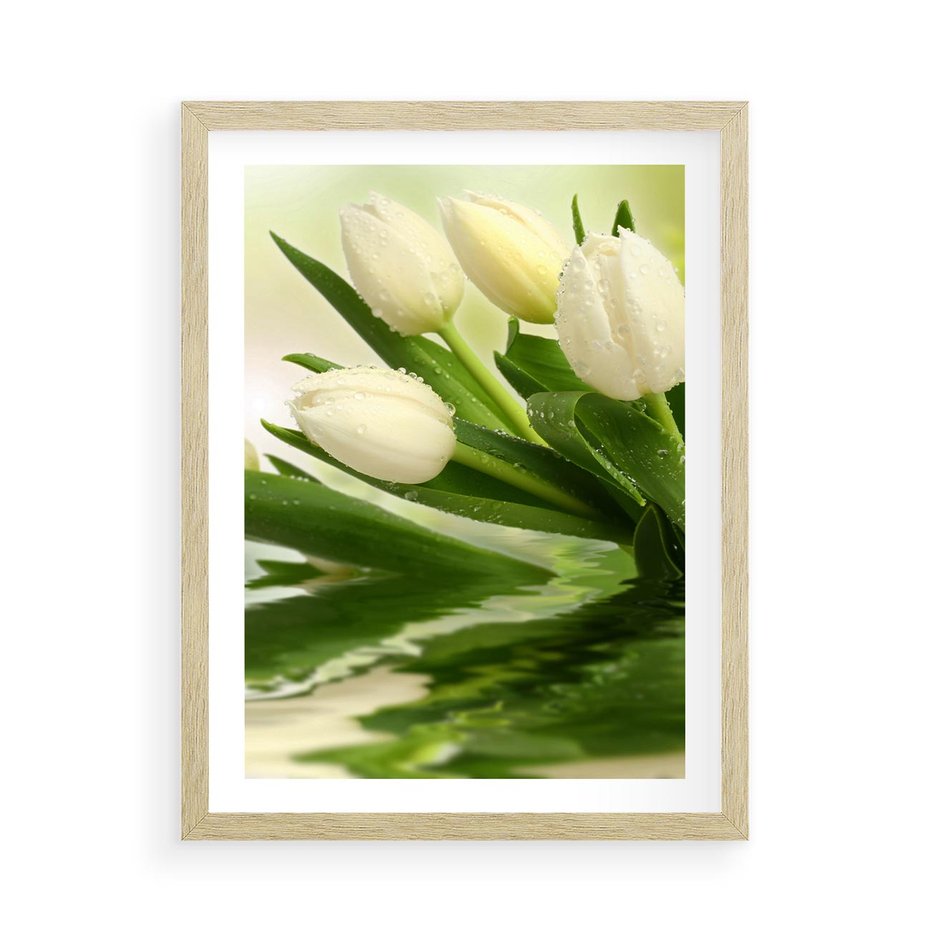 Plakat w ramie 50x70 - Białe Piękno - białe, tulipany - rama drewno