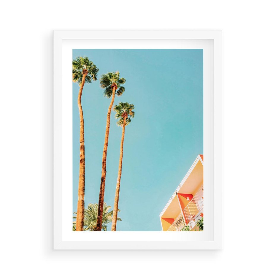 Plakat w ramie 50x70 - Letnie Marzenia - palmy, na tle nieba - rama biała