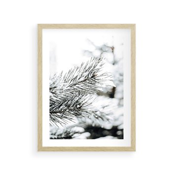 Plakat w ramie 30x40 - Chwila Zimowej Magii - iglasta gałązka, śnieg - rama drewno