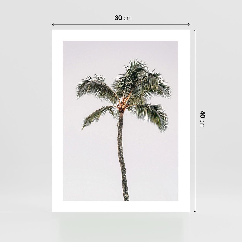 Plakat bez ramy 30x40 - Wakacyjne Marzenia - palma na tle nieba