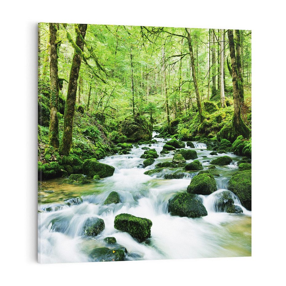 Obraz na płótnie 70x70 - Spokój Wodospadu: Las i Drzewa - wodospad, las