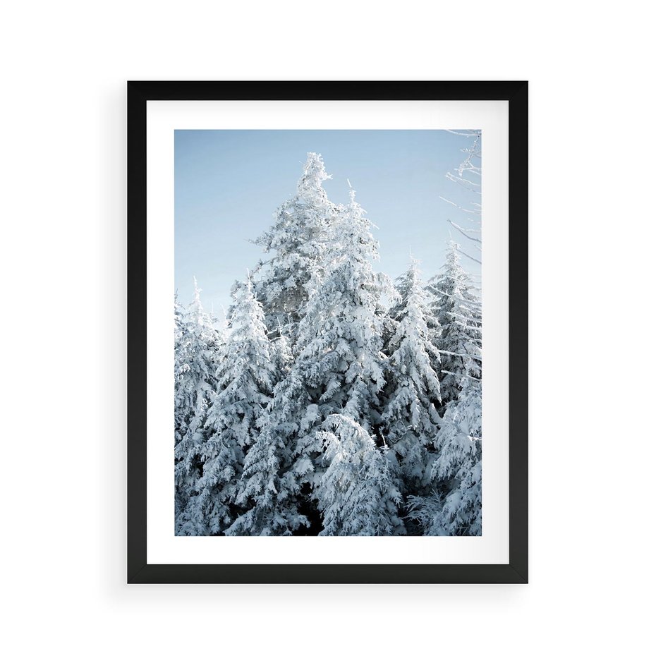 Plakat w ramie 40x50 - Magia Śnieżnych Drzew - zima, iglaste drzewa - rama czarna
