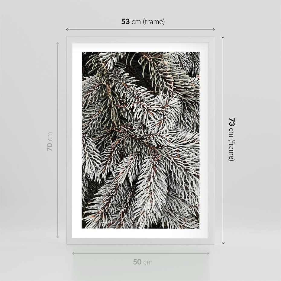 Plakat w ramie 50x70 - Cisza Zimowej Natury - zima, iglaste gałązki - rama biała
