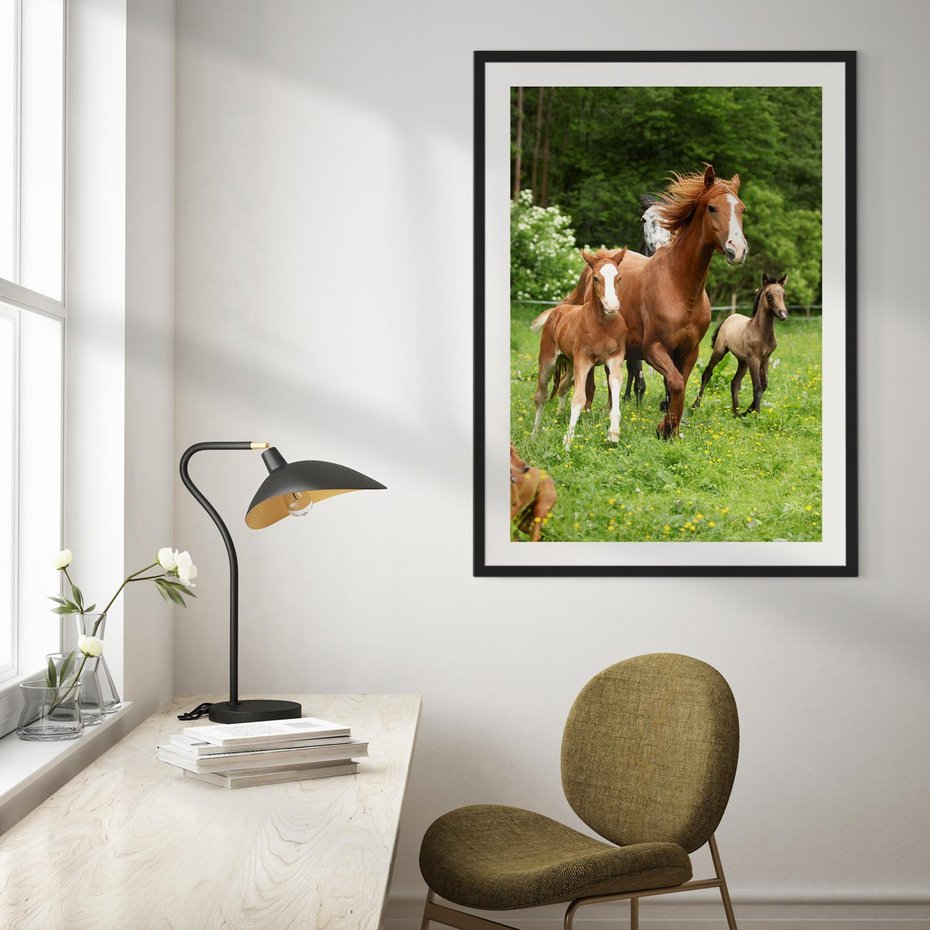 Plakat bez ramy 21x30 - Galopujące konie - konie, galop