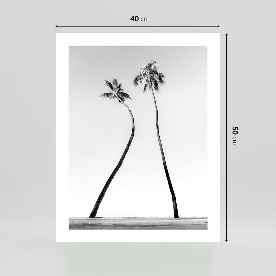Plakat bez ramy 40x50 - Samotne Palmy - czarno biała fotografia, dwie samotne palmy