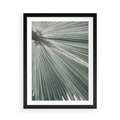 Plakat w ramie 50x70 - Jasnozielony Świat - palma, liść - rama czarna