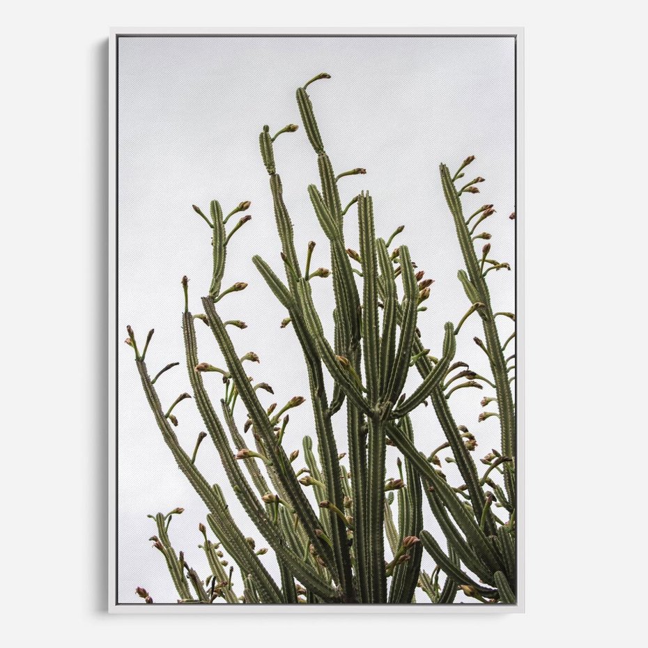 Obraz w ramie 70x100 - Ekskluzywna Roślinność - kaktusy, liście - rama biała