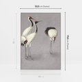 Obraz w ramie 50x70 - Spojrzenie wstecz w pędzlu - szkic rysunek, japońskie żurawie - rama biała