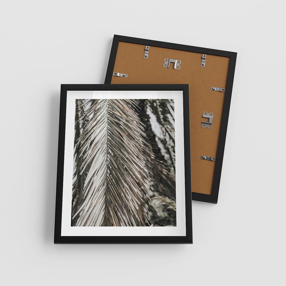 Plakat w ramie 40x50 - Egzotyczne Gałęzie - suche gałęzie, liście palmy - rama czarna