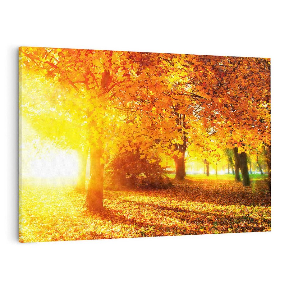 Obraz na płótnie 100x70 - Magia jesiennego lasu - las, drzewa